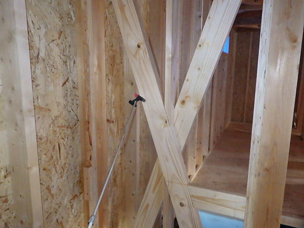 RIMG6893_600.jpg