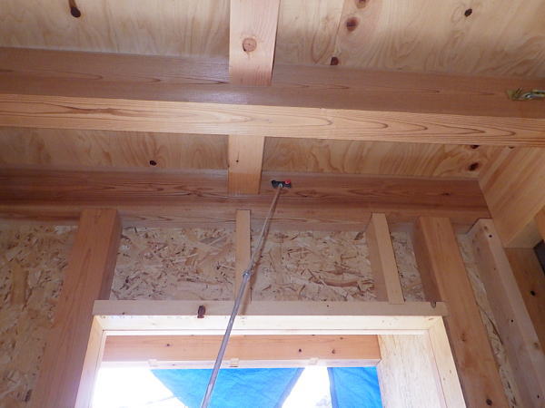 RIMG6906_600.jpg