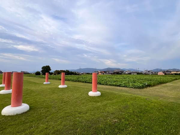 fujiwara260712_600.jpg
